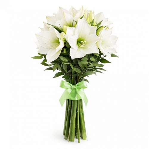 Амариллис белый