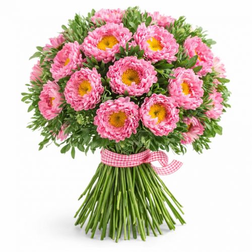 Астра розовая