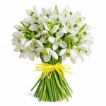 Букеты с подснежниками