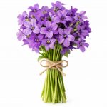 Букеты с фиалками