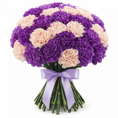 Диантус микс 2