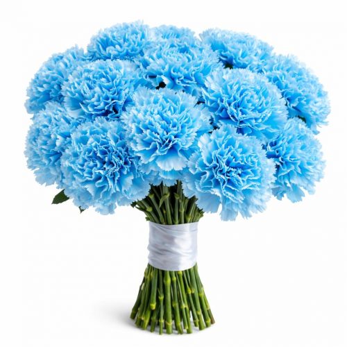 Гвоздика голубая