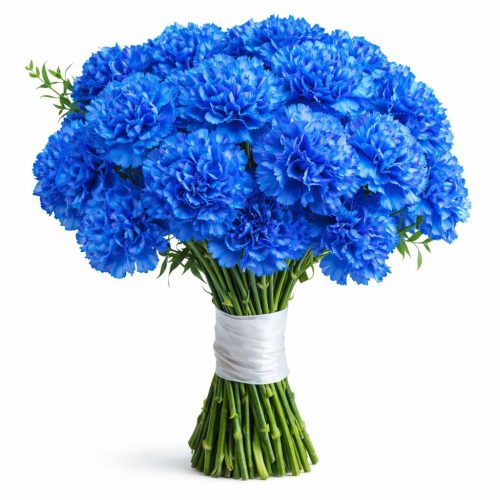 Гвоздика синяя