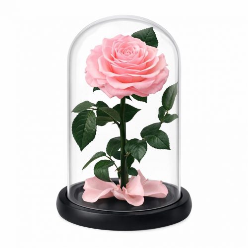 Роза в колбе нежно-розовая