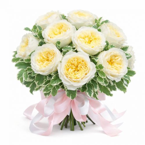 Розы Пионовидные одноголовые белые