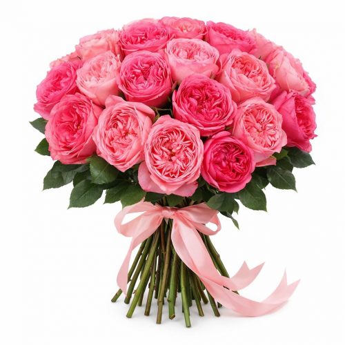 Розы Пионовидные одноголовые розовые