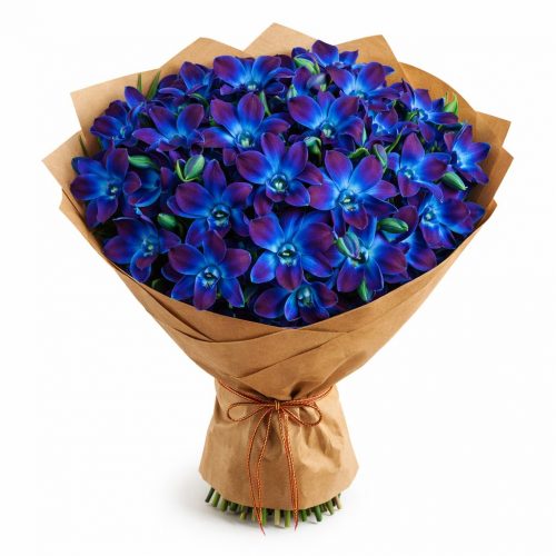 Монобукет «Сияние Дендробиума»